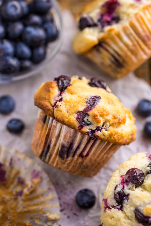 Blueberry muffin on a piece of parchment paper.